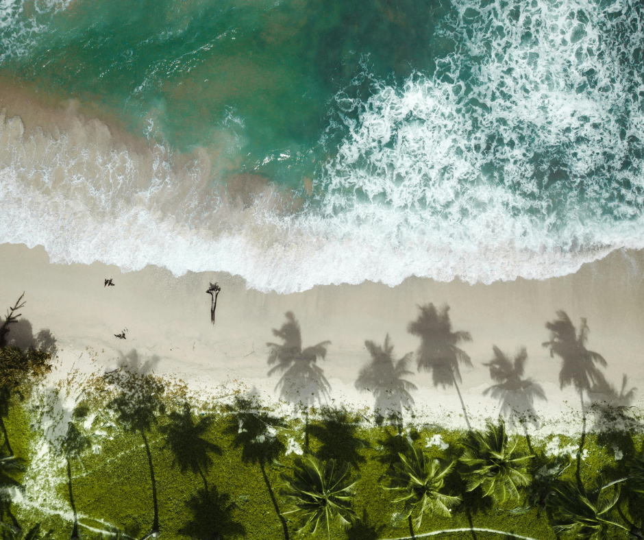 Andaman Tour Packages